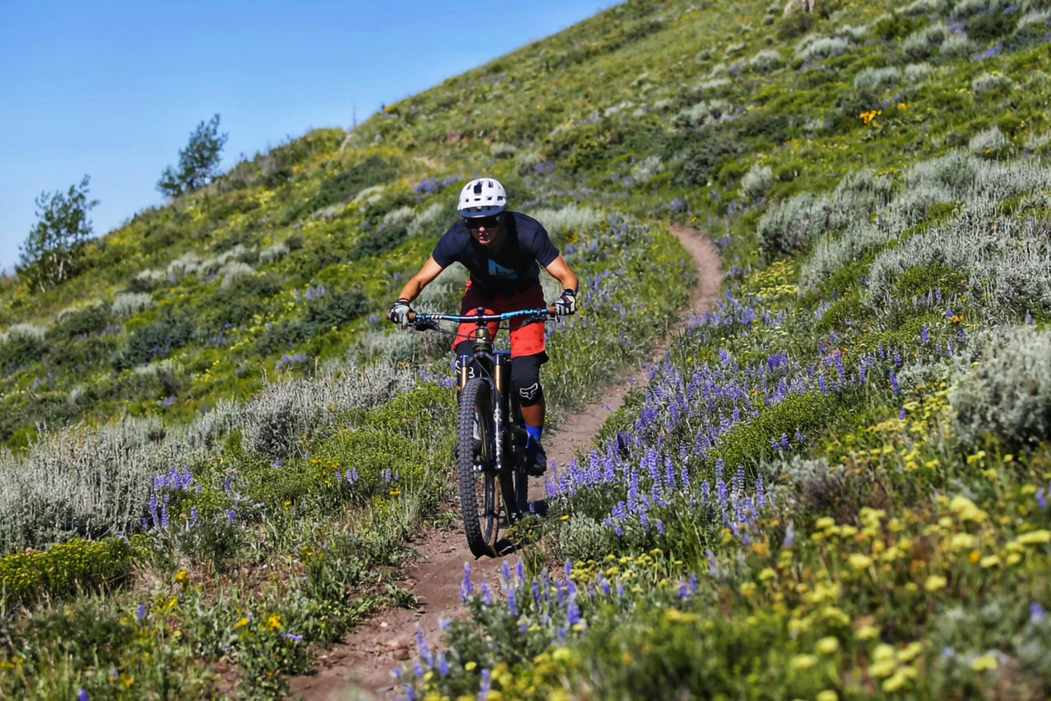 SkiID Summer2023 SunValley sm