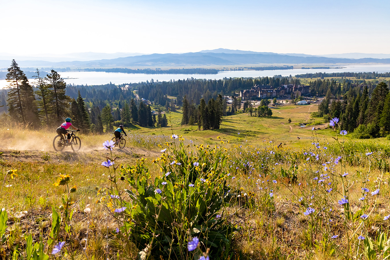 Tamarack SharkinPhoto2021